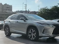 2020 Lexus RX 300 4WD VI — фото 3