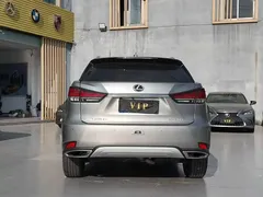 2020 Lexus RX 300 4WD VI — фото 4