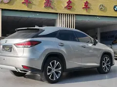 2020 Lexus RX 300 4WD VI — фото 6