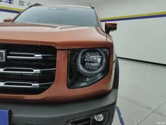 2022 Haval Havaldog 2.0T DCT 4WD Roaring Dog — фото 5