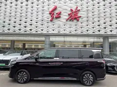 2024 Hongqi HQ9 2.0T 4WD Luxury — фото 2