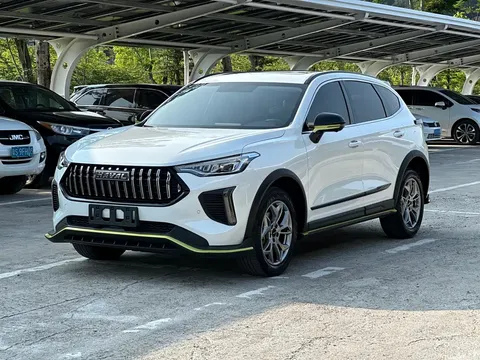 2022 Haval Red Rabbit Enjoy 1.5T Red Bronze Rabbit