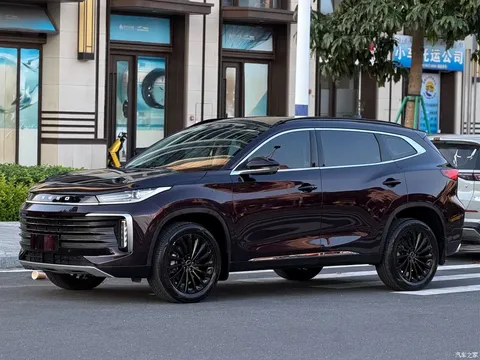 2021 Exeed Xingtu Lingyun 290T 2WD Xingyao