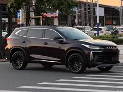2021 Exeed Xingtu Lingyun 290T 2WD Xingyao — фото 3