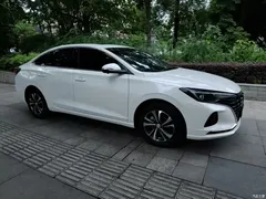 2021 Changan EADO PLUS Blue Whale NE 1.4T GDI DCT Premium Type, белый — фото 6