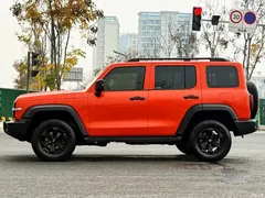 2023 Tank 300 Off-Road 2.0T Conqueror — фото 3
