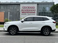 2022 Haval H6 Third Generation 1.5T AT 2WD Max, белый — фото 6