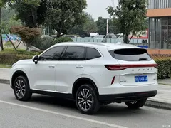 2022 Haval H6 Third Generation 1.5T AT 2WD Max, белый — фото 7