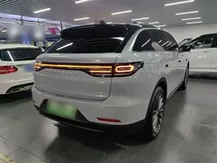2024 Leapmotor C11 300 Premium — фото 5