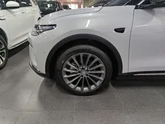 2024 Leapmotor C11 300 Premium — фото 25