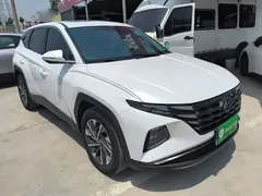 2021 Hyundai Tucson 1.5T DCT GLX Elite, белый — фото 22