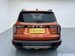2021 Haval Dargo 1.5T DCT 2WD Border Collie — фото 18
