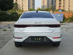 2025 BYD Seal 05 PLUS DM-i 120KM, белый — фото 14