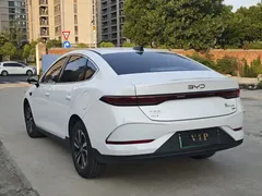 2025 BYD Seal 05 PLUS DM-i 120KM, белый — фото 15