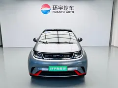 2021 BYD Dolphin 405km Fashion — фото 2
