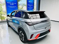 2021 BYD Dolphin 405km Fashion — фото 8