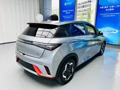 2021 BYD Dolphin 405km Fashion — фото 9
