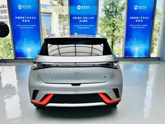 2021 BYD Dolphin 405km Fashion — фото 10