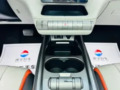 2021 BYD Dolphin 405km Fashion — фото 17