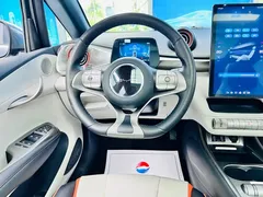 2021 BYD Dolphin 405km Fashion — фото 18