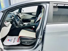 2021 BYD Dolphin 405km Fashion — фото 20