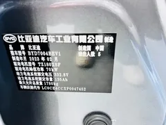 2021 BYD Dolphin 405km Fashion — фото 25