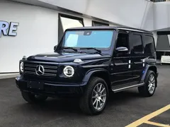 2023 Mercedes-Benz G-Class G 350, синий — фото 1