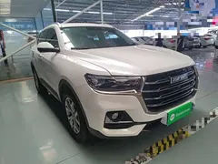 2021 Haval H6 1.5GDIT AT Guochao Champion, белый — фото 4