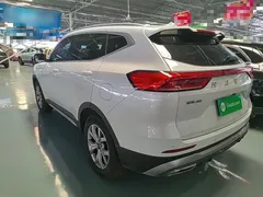2021 Haval H6 1.5GDIT AT Guochao Champion, белый — фото 5