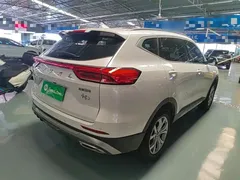 2021 Haval H6 1.5GDIT AT Guochao Champion, белый — фото 7