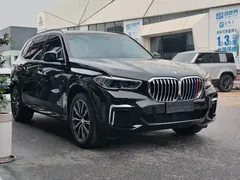 2022 BMW X5 30Li Premium M Sport Package, белый — фото 6