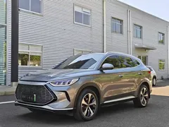 2021 BYD PLUS DM-i 110KM — фото 1
