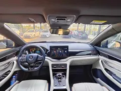 2021 BYD PLUS DM-i 110KM — фото 5