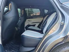 2021 BYD PLUS DM-i 110KM — фото 6