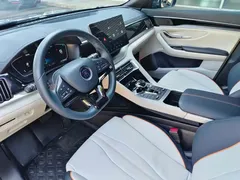 2021 BYD PLUS DM-i 110KM — фото 10