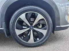 2021 BYD PLUS DM-i 110KM — фото 14