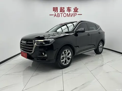 2021 Haval H6 Guochao 1.5T AT Champion