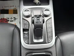 2021 Tank 300 Off-Road 2.0T Conqueror — фото 13