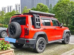 2021 Tank 300 Off-Road 2.0T Conqueror — фото 4