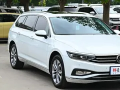 2021 Volkswagen Tavendor 2.0T, белый — фото 9