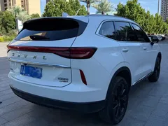 2021 Haval H6 2.0T AT 4WD Max, белый — фото 6