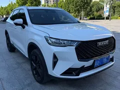 2021 Haval H6 2.0T AT 4WD Max, белый — фото 7