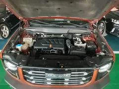 2021 Haval Dargo 1.5T DCT 2WD Border Collie — фото 16