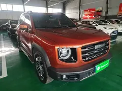 2021 Haval Dargo 1.5T DCT 2WD Border Collie — фото 22
