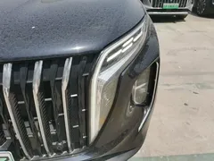 2024 Hongqi HS7 2.0T PHEV 4WD 7, чёрный — фото 24