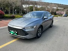 2024 BYD Qin PLUS 55KM — фото 1