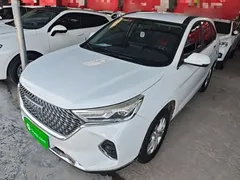 2021 Haval M6 Plus 1.5T DCT Elite, белый — фото 2