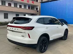 2021 Haval H6 2.0T AT 4WD Supreme, белый — фото 4