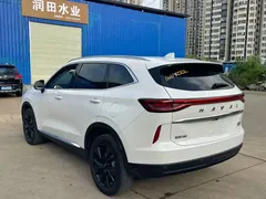 2021 Haval H6 2.0T AT 4WD Supreme, белый — фото 6