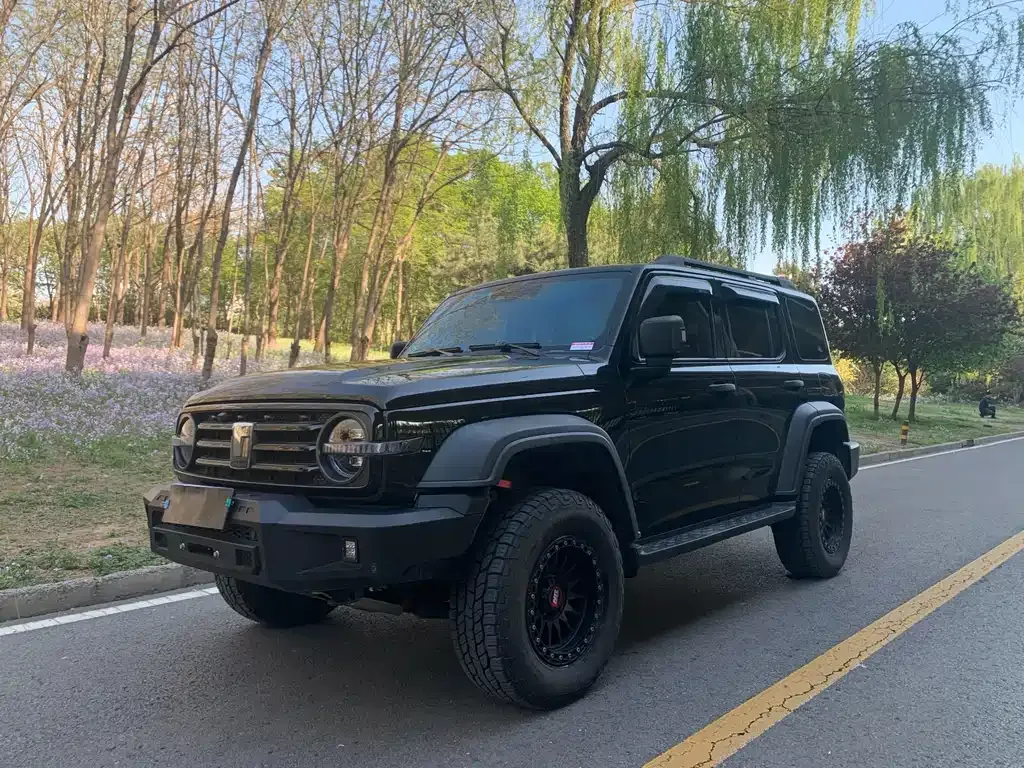 2021 Tank 300 2.0T